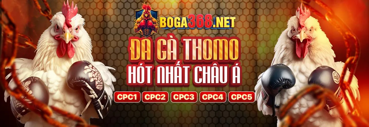 Tài nguyên chính thức của 79 King 3